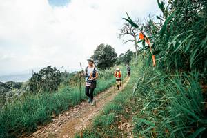 BIB: 
                            <button type="button" onclick="openModal(26039694)" class="btn btn-primary btn-sm float-right btn-popup" data-toggle="modal" data-target=".modal-high-quality">
                        <i class="fas fa-shopping-cart"></i> Add to Cart
                    </button>
                                            <button type="button" onclick="isThisMe(26039694, true)" class="btn btn-success btn-sm float-right btn-popup btn-isme hidden" data-toggle="tooltip" data-placement="bottom" title="นี่คือรูปของคุณใช่ไหม คลิกที่นี่เพื่อเอาเข้าอัลบั้ม">
                        <i class="fas fa-plus"></i> Add to album
                    </button>
                    <button type="button" onclick="isThisMe(26039694, false)" class="btn btn-warning btn-sm float-right btn-popup btn-isnotme hidden">
                        <i class="fas fa-ban"></i> Remove from album
                    </button>